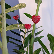 Load image into Gallery viewer, Be Mine Heart Stakes for Plants and Flowers