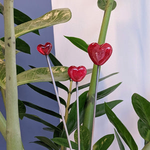 Be Mine Heart Stakes for Plants and Flowers