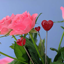 Load image into Gallery viewer, Be Mine Heart Stakes for Plants and Flowers