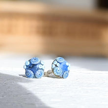 Load image into Gallery viewer, Shiny ... Beyond the Sea Rockpool Stud Earrings