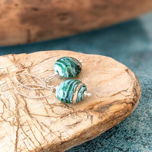 Load image into Gallery viewer, Sea Lentil Earrings