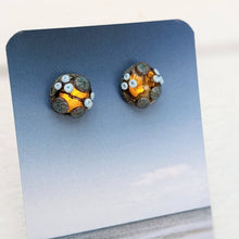 Load image into Gallery viewer, Golden ... Beyond the Sea Rockpool Stud Earrings